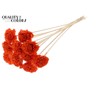 Shola Karnish Flower 6cm on stem Wax Orange