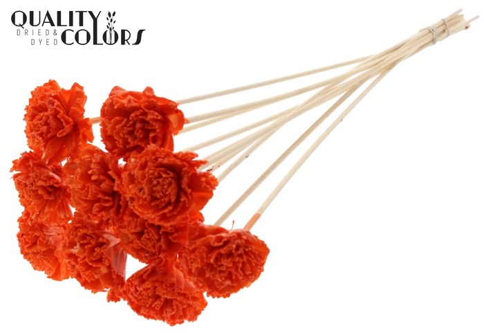 <h4>Shola Karnish Flower 6cm on stem Wax Orange</h4>