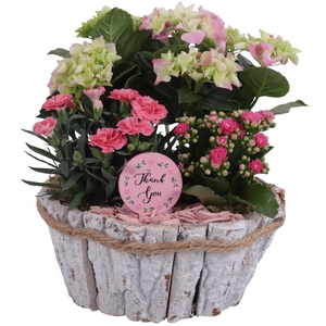 Mothersday Arr. Outdoor Wooden Bark Pot White Wash Ø24cm 3PP