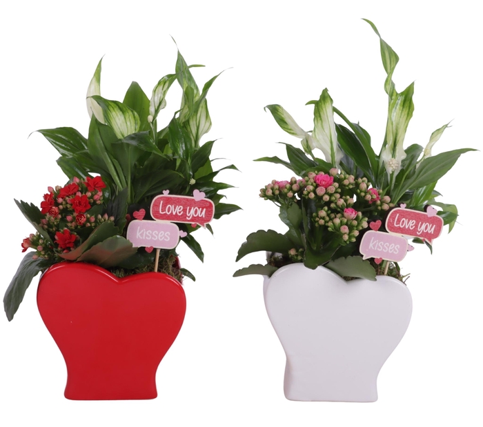 <h4>Valentine Arr. Indoor Ceramic Heartshape Vase Red/White Ø13cm 2P</h4>