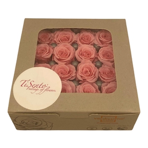 Arrangementen Potroos H%
