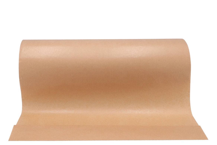 Paper 60cm Brown 12kg Natural