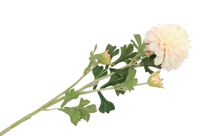 <h4>Silk Dahlia Creme 65cm</h4>