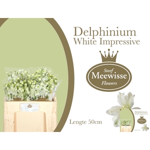 Delph Dewi Impresse White Steef Meewisse