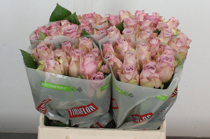 <h4>R Gr Memory Lane!</h4>