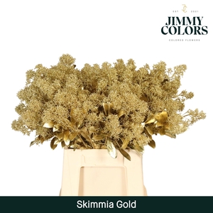 Skimmia Per Bos L45 Mtlc. Goud + Glitter
