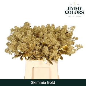 Skimmia per bos L45 Mtlc. Goud