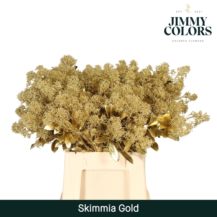 <h4>Skimmia per bos L45 Mtlc. Goud + Glitter</h4>