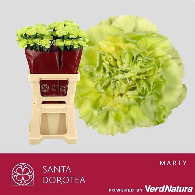 <h4>Di St Marty Sel</h4>