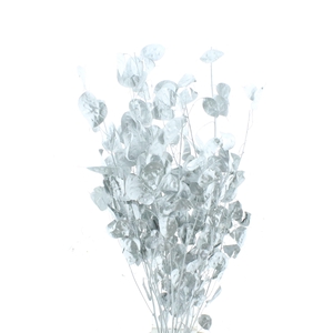 SNIJBLOEMEN KLB H%