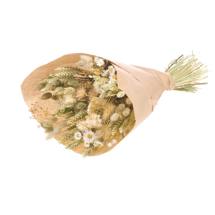 <h4>Bouquet Large Anita 55cm natural</h4>