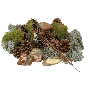 Dried articles Mix forest 500g