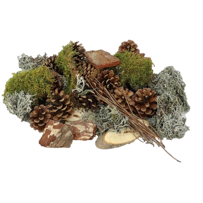 <h4>Dried articles Mix forest 500g</h4>