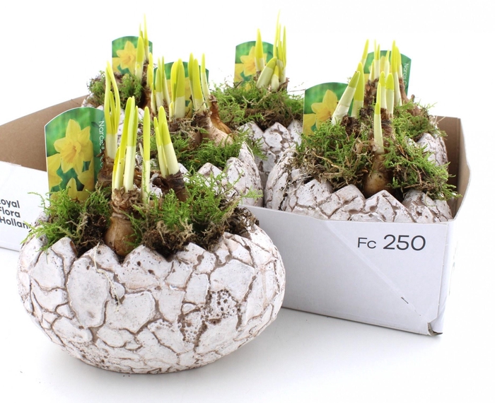 <h4>ARR N TETE A TETE</h4>