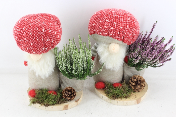 <h4>arr4 Outdoor JS - Gnome paddestoel</h4>