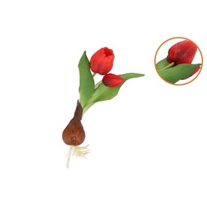 Silk Tulip Bulb Red 25cm Nm