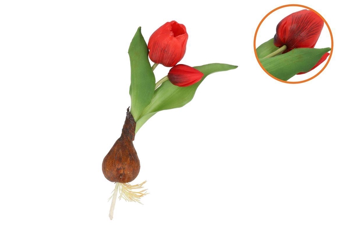 <h4>Silk Tulip Bulb Red 25cm</h4>