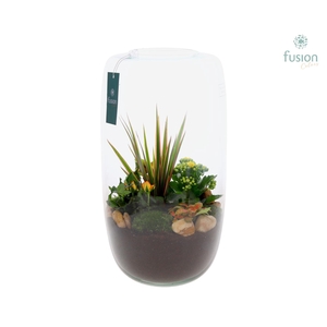 Green Bottle Isabella XXLarge met arrangement