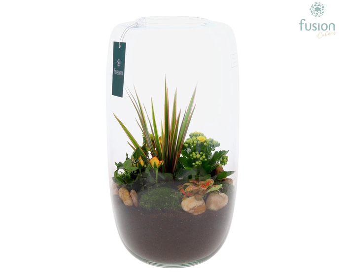 <h4>Green Bottle Isabella XXLarge met arrangement</h4>