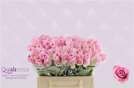 <h4>R GR HEIDI!</h4>