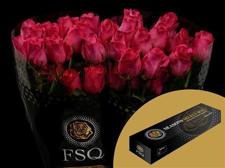 <h4>R Gr Pink Floyd Box</h4>