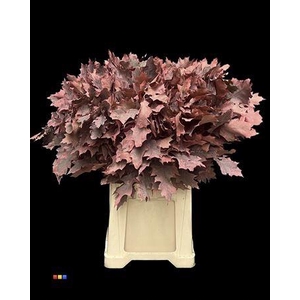 Eikeblad Frosted Coral 80cm