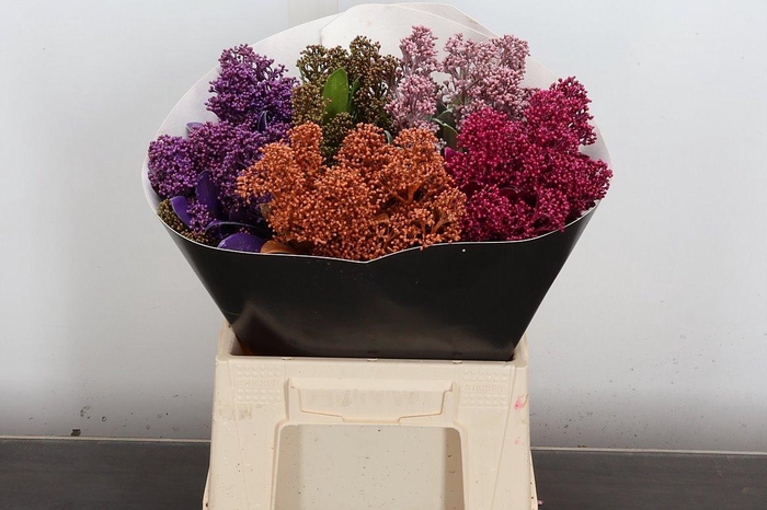 <h4>Snijgroen Skim Ov Bs Klb H</h4>