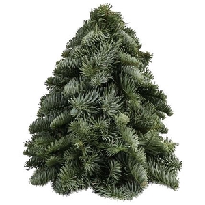 Kerstboom L3