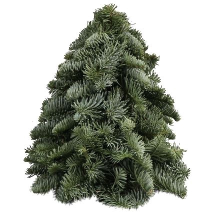 <h4>Kerstboom L3</h4>