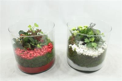 <h4>7992 CILINDERBREED</h4>