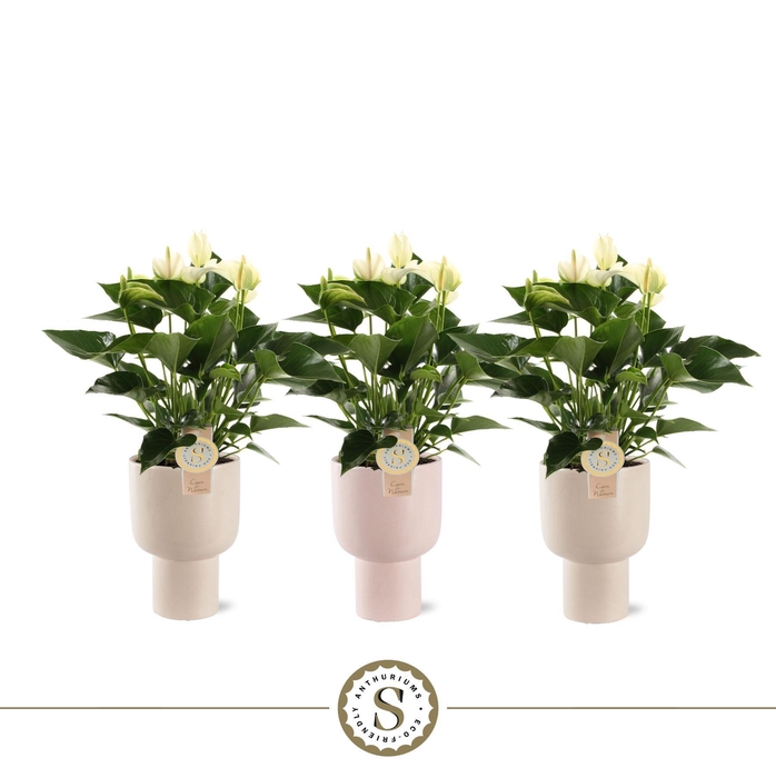 <h4>Roma Keramiek White</h4>