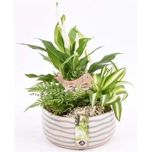 Keramiek schaal golf 18cm