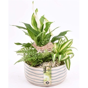 Keramiek schaal golf 18cm