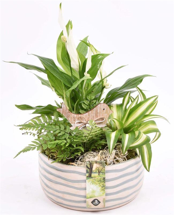 <h4>Keramiek schaal golf 18cm</h4>