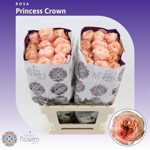 R GR PRINCESS CROWN