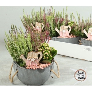 ARR TUINPLANTEN