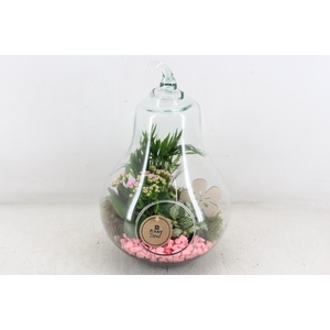 arr2 PL - Glazen peer XL - roze