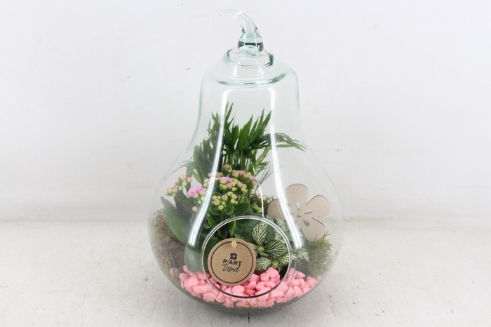 <h4>arr2 PL - Glazen peer XL - roze</h4>