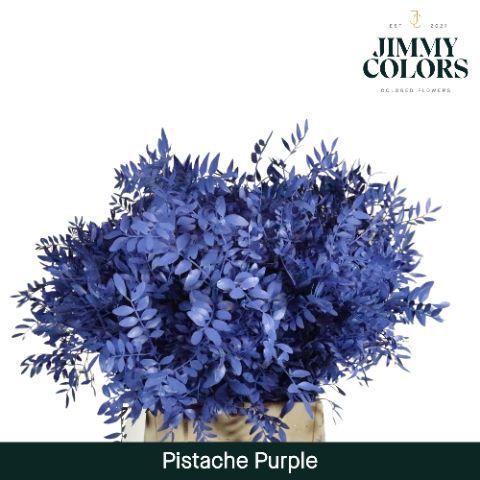 <h4>Pistache L45 Purple</h4>