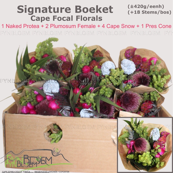 <h4>PROTEA PER BOS</h4>