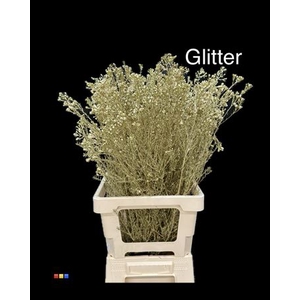 Waxflower Gold + Glit Bio