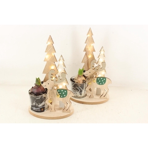 arr4 Hyacint FL - Tree & Reindeer LED