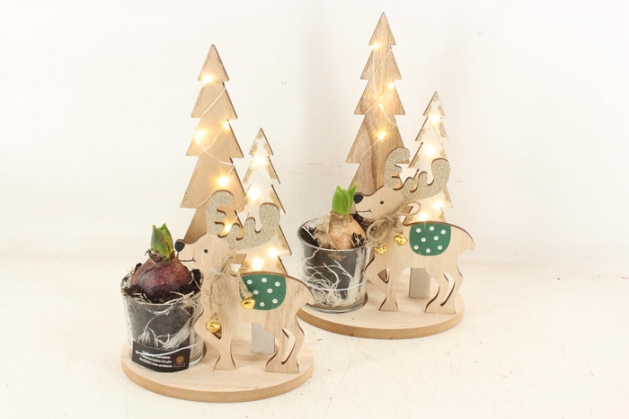 <h4>arr4 Hyacint FL - Tree & Reindeer LED</h4>