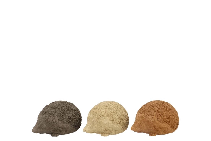 Hedgehog Woods Brown Polystone Ass 9x6x4cm Nm