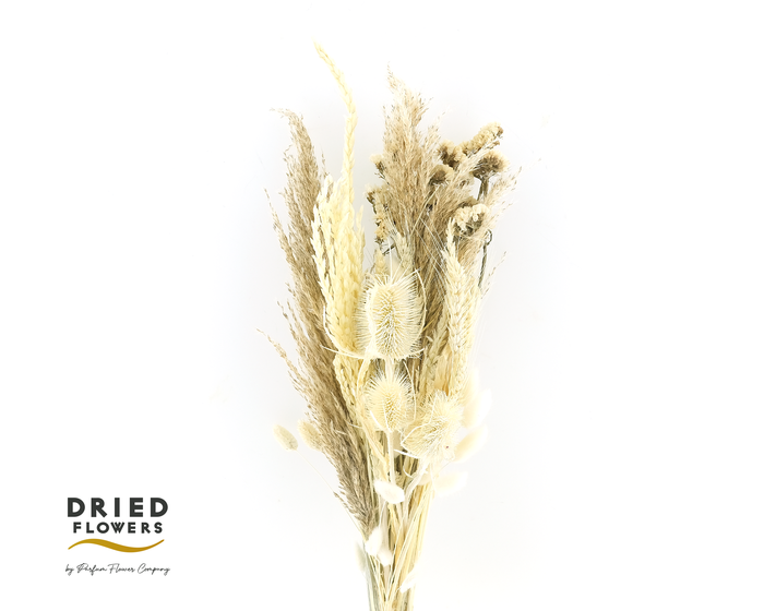 <h4>Dried Bouquet Bleached Premium</h4>