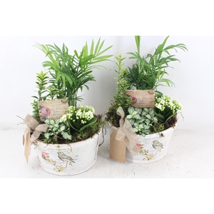 arr2 TD - Schaal rond roos - wit