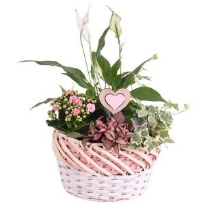 Mothersday Arr. Indoor Willow Basket Oval Threetone Ø28cm 4PP