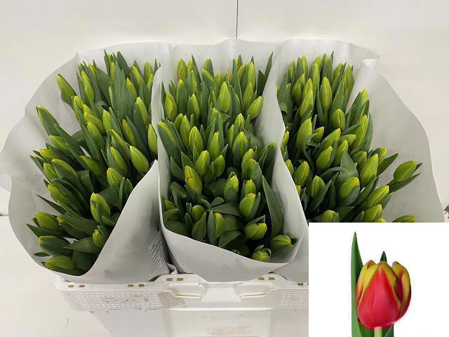 <h4>TU EN DOW JONES</h4>