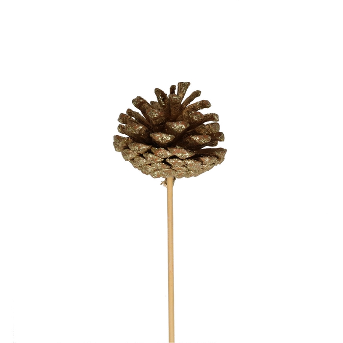 <h4>Kerst bijsteker 50cm Dennenappel 6cm</h4>