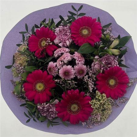 <h4>Gem Boe Middel Lila 25 Stelen Vers</h4>